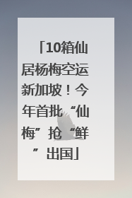 10箱仙居杨梅空运新加坡！今年首批“仙梅”抢“鲜”出国