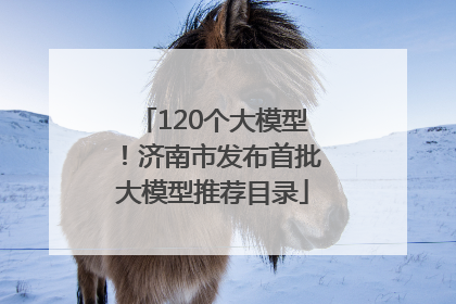 120个大模型！济南市发布首批大模型推荐目录