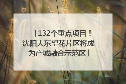 132个重点项目！沈阳大东望花片区将成为产城融合示范区