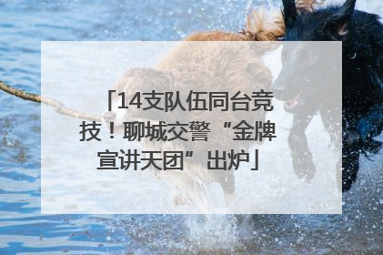 14支队伍同台竞技！聊城交警“金牌宣讲天团”出炉