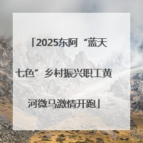 2025东阿“蓝天七色”乡村振兴职工黄河微马激情开跑