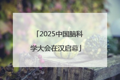 2025中国脑科学大会在汉启幕