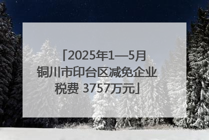 2025年1—5月铜川市印台区减免企业税费 3757万元