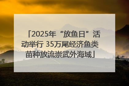 2025年“放鱼日”活动举行 35万尾经济鱼类苗种放流崇武外海域