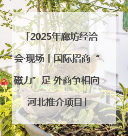 2025年廊坊经洽会·现场丨国际招商“磁力”足 外商争相向河北推介项目
