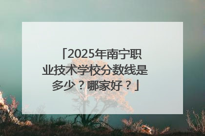 2025年南宁职业技术学校分数线是多少？哪家好？
