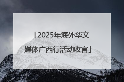 2025年海外华文媒体广西行活动收官