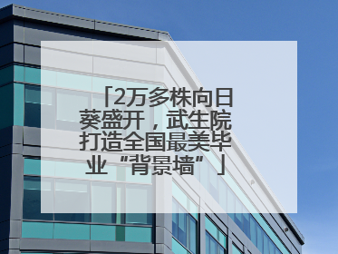 2万多株向日葵盛开，武生院打造全国最美毕业“背景墙”