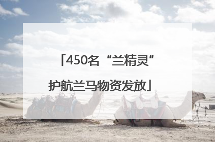 450名“兰精灵”护航兰马物资发放