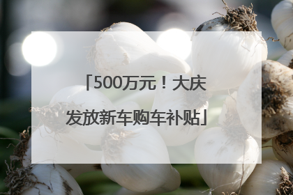 500万元！大庆发放新车购车补贴