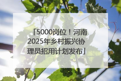 5000岗位！河南2025年乡村振兴协理员招用计划发布