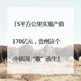 5平方公里实现产值170亿元，贵州这个小镇因“数”而生