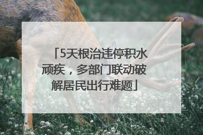 5天根治违停积水顽疾，多部门联动破解居民出行难题