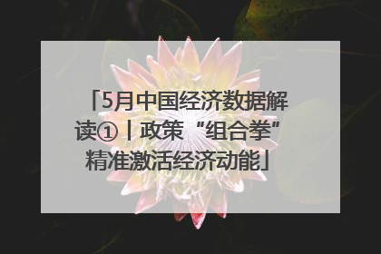 5月中国经济数据解读①丨政策“组合拳”精准激活经济动能