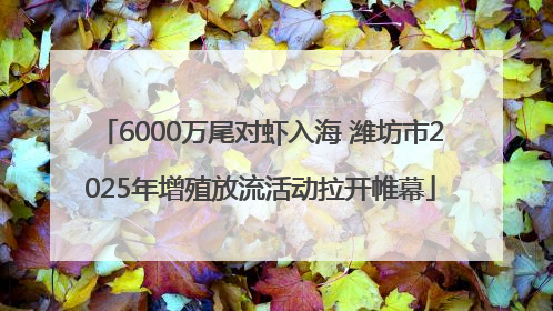 6000万尾对虾入海 潍坊市2025年增殖放流活动拉开帷幕