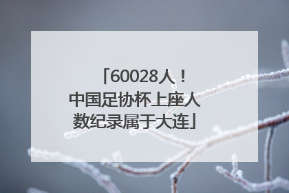 60028人！中国足协杯上座人数纪录属于大连