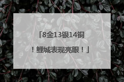 8金13银14铜！鲤城表现亮眼！