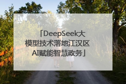 DeepSeek大模型技术落地江汉区 AI赋能智慧政务