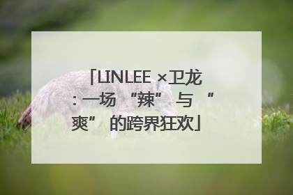 LINLEE ×卫龙：一场 “辣” 与 “爽” 的跨界狂欢