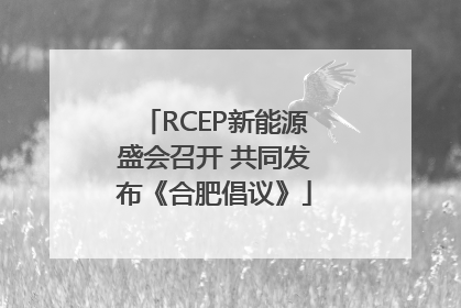 RCEP新能源盛会召开 共同发布《合肥倡议》